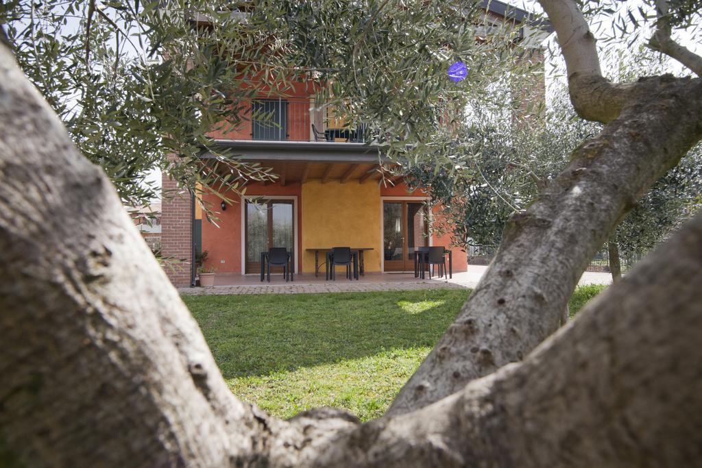 Agriturismo Le Sigalette Salionze Dış mekan fotoğraf